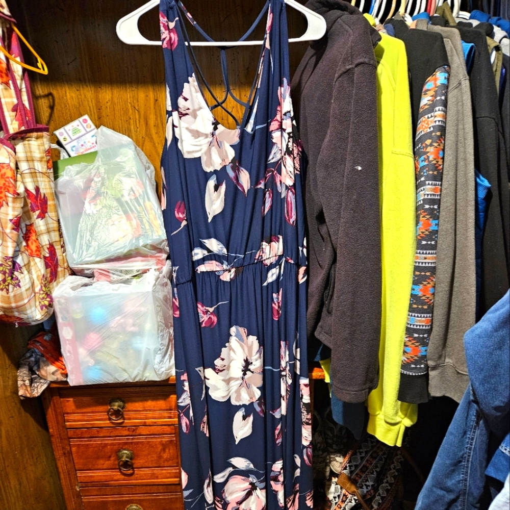 Maurices dress